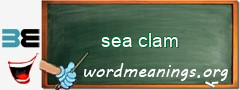 WordMeaning blackboard for sea clam